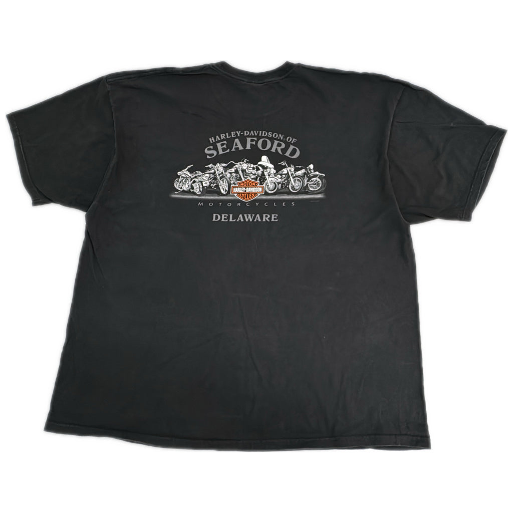 HARLEY DAVIDSON Motorcycle T-Shirt