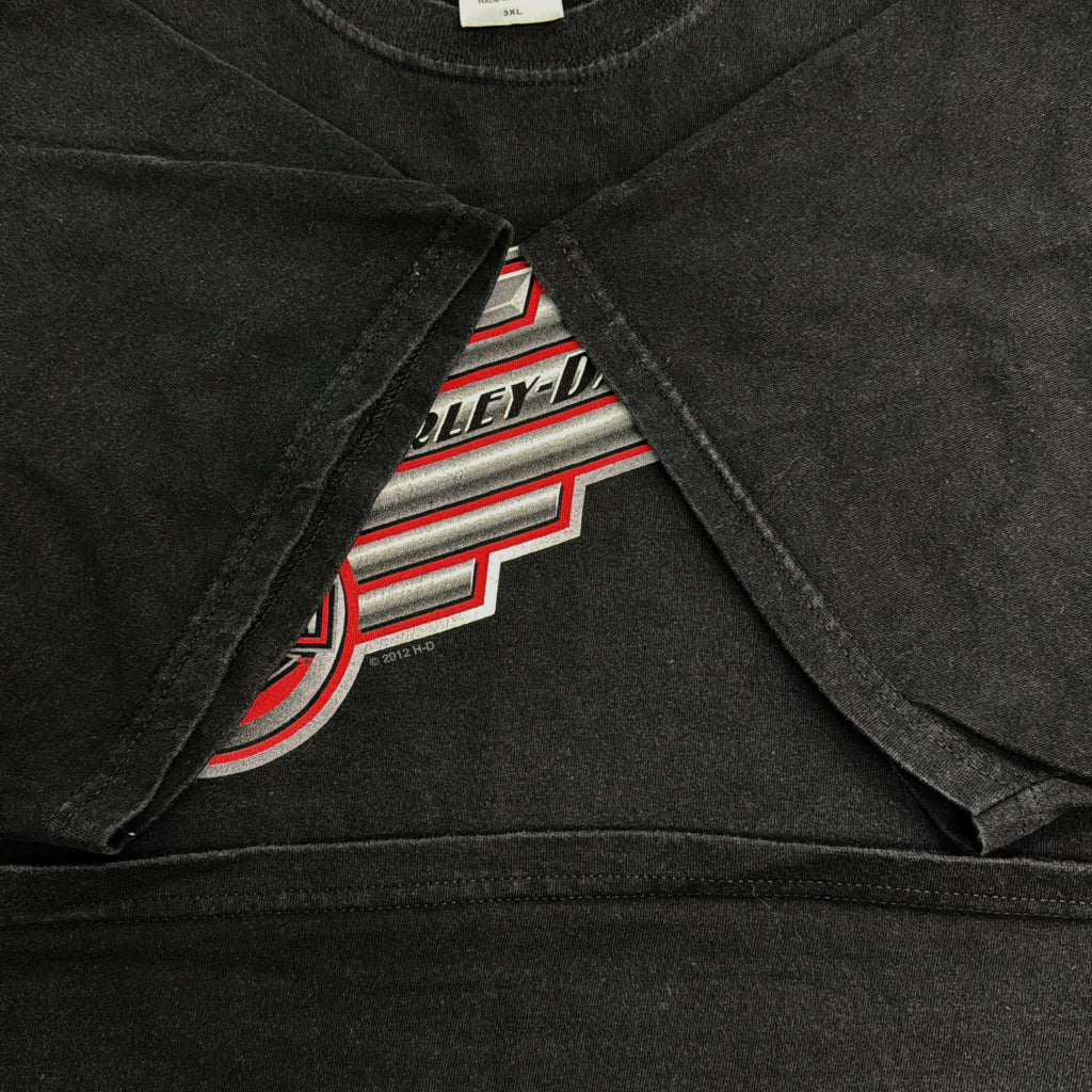 HARLEY DAVIDSON Motorcycle T-Shirt