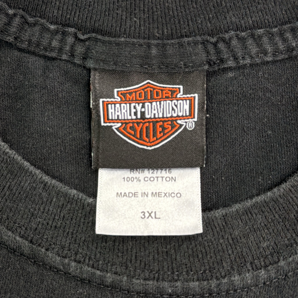 HARLEY DAVIDSON Motorcycle T-Shirt