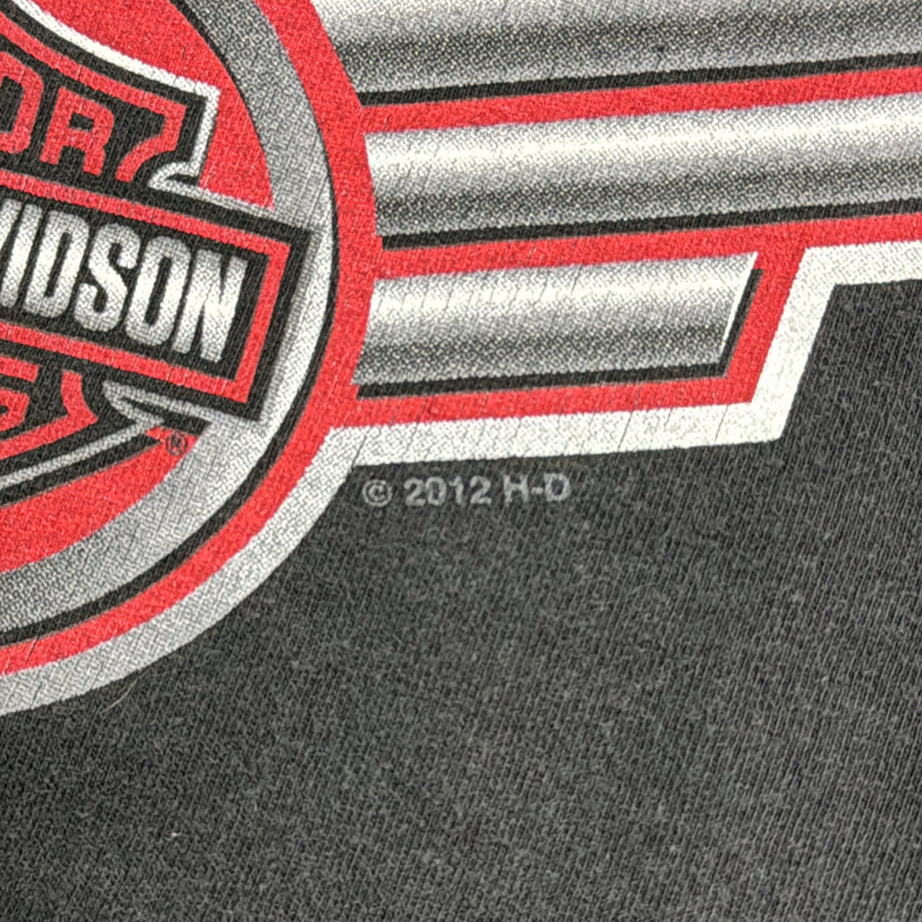 HARLEY DAVIDSON Motorcycle T-Shirt