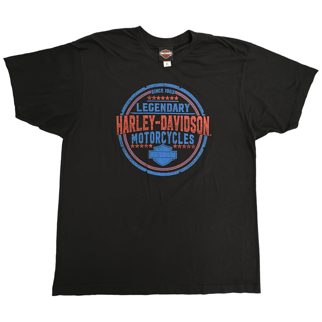 HARLEY DAVIDSON Motorcycle T-Shirt
