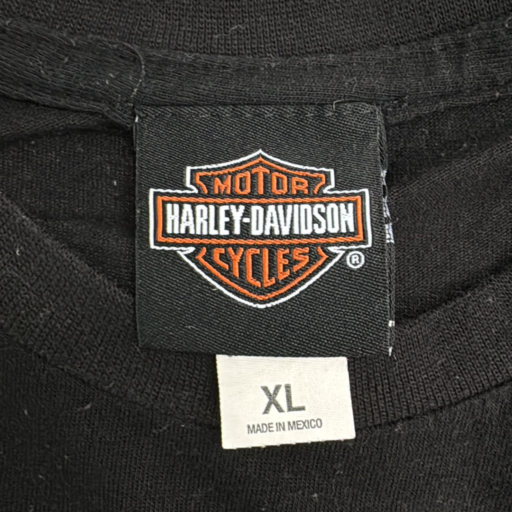 HARLEY DAVIDSON Motorcycle T-Shirt