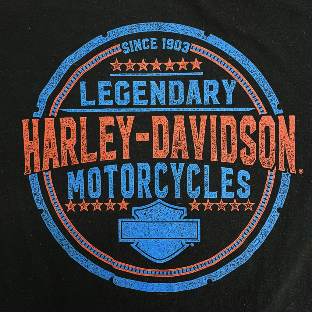 HARLEY DAVIDSON Motorcycle T-Shirt