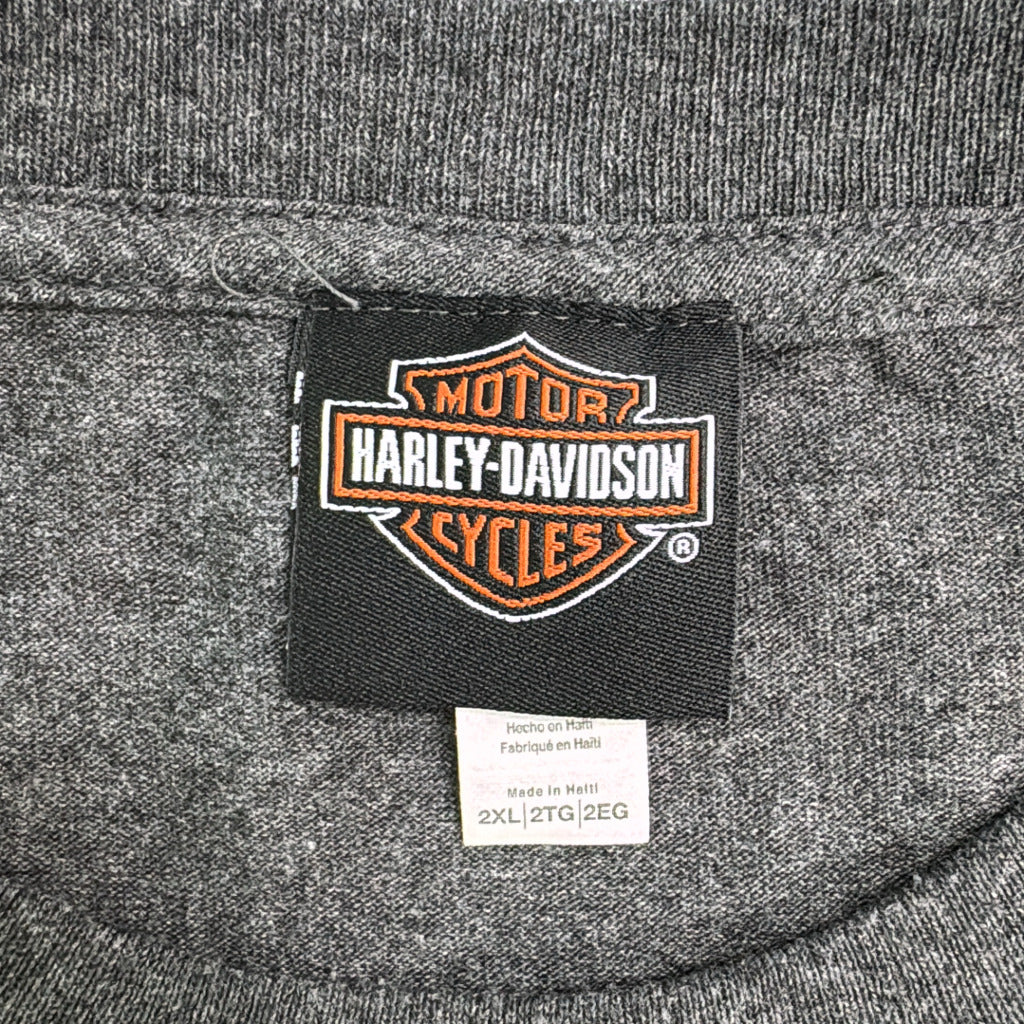 HARLEY DAVIDSON Motorcycle T-Shirt