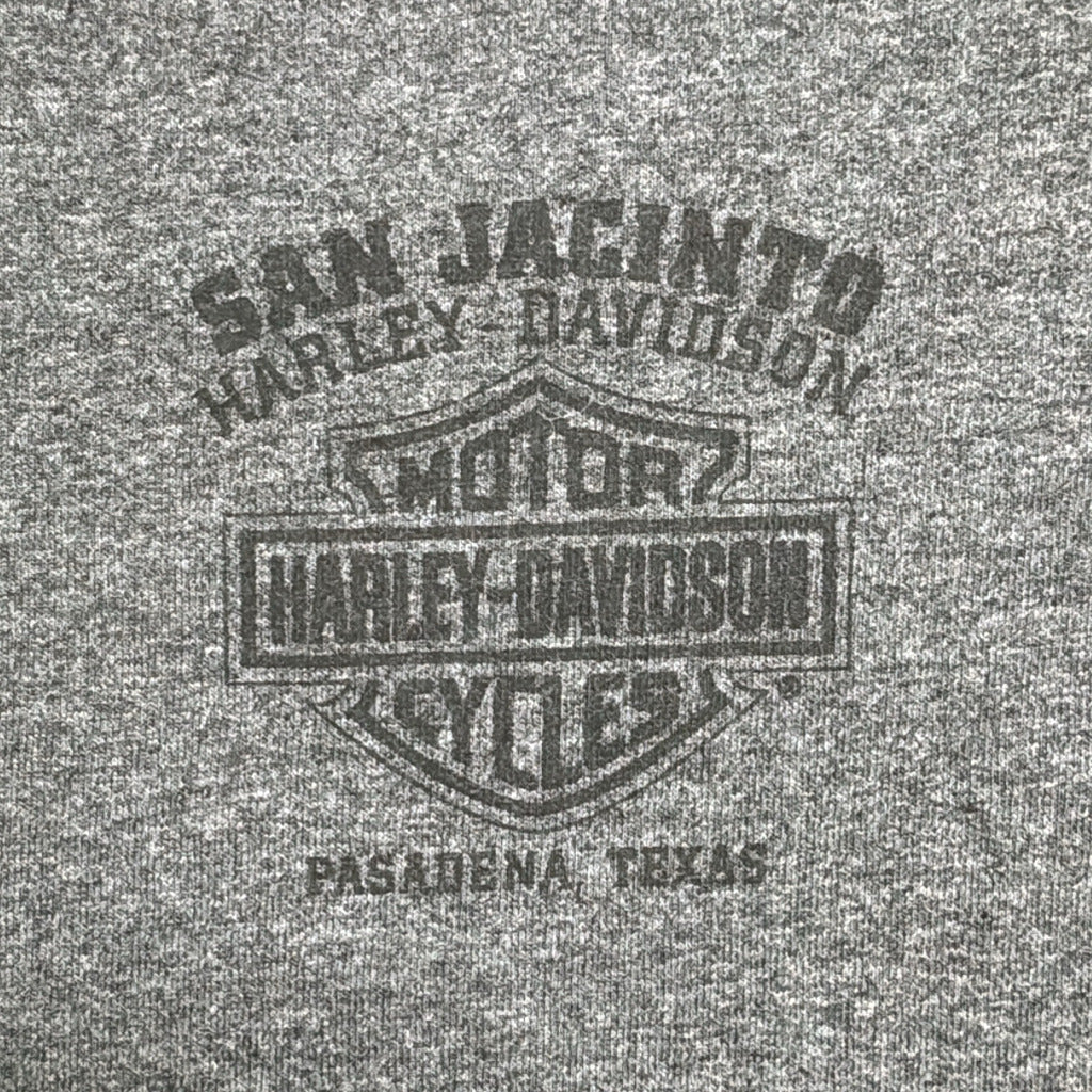 HARLEY DAVIDSON Motorcycle T-Shirt