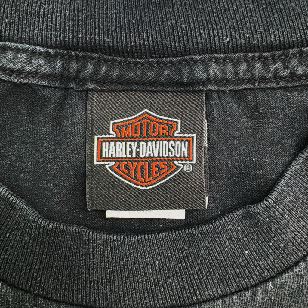 HARLEY DAVIDSON Motorcycle T-Shirt