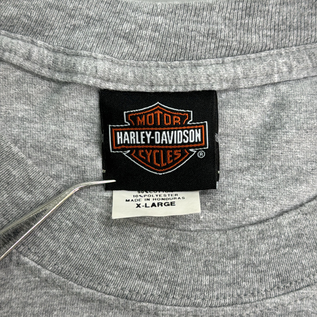 HARLEY DAVIDSON Motorcycle T-Shirt