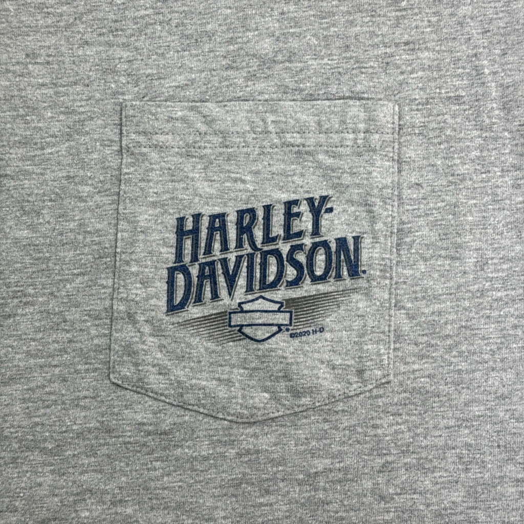 HARLEY DAVIDSON Motorcycle T-Shirt