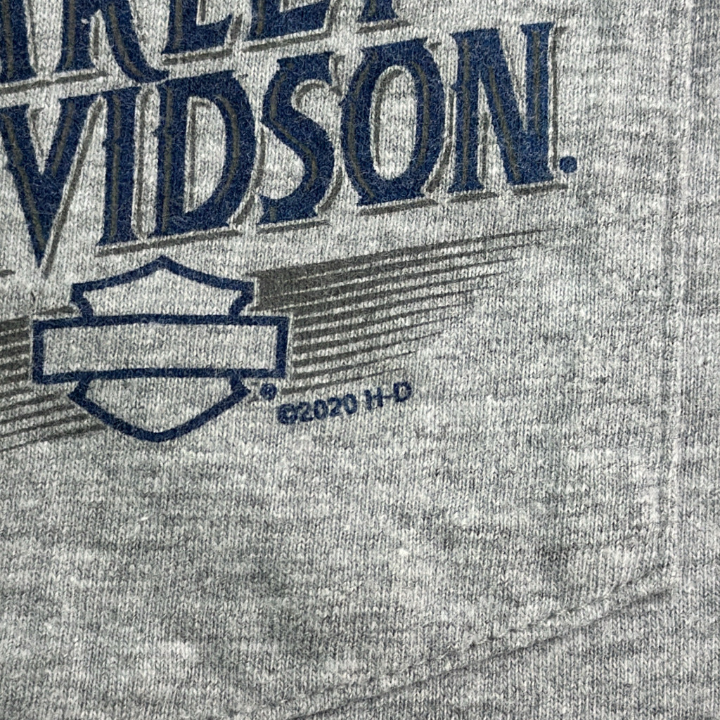 HARLEY DAVIDSON Motorcycle T-Shirt