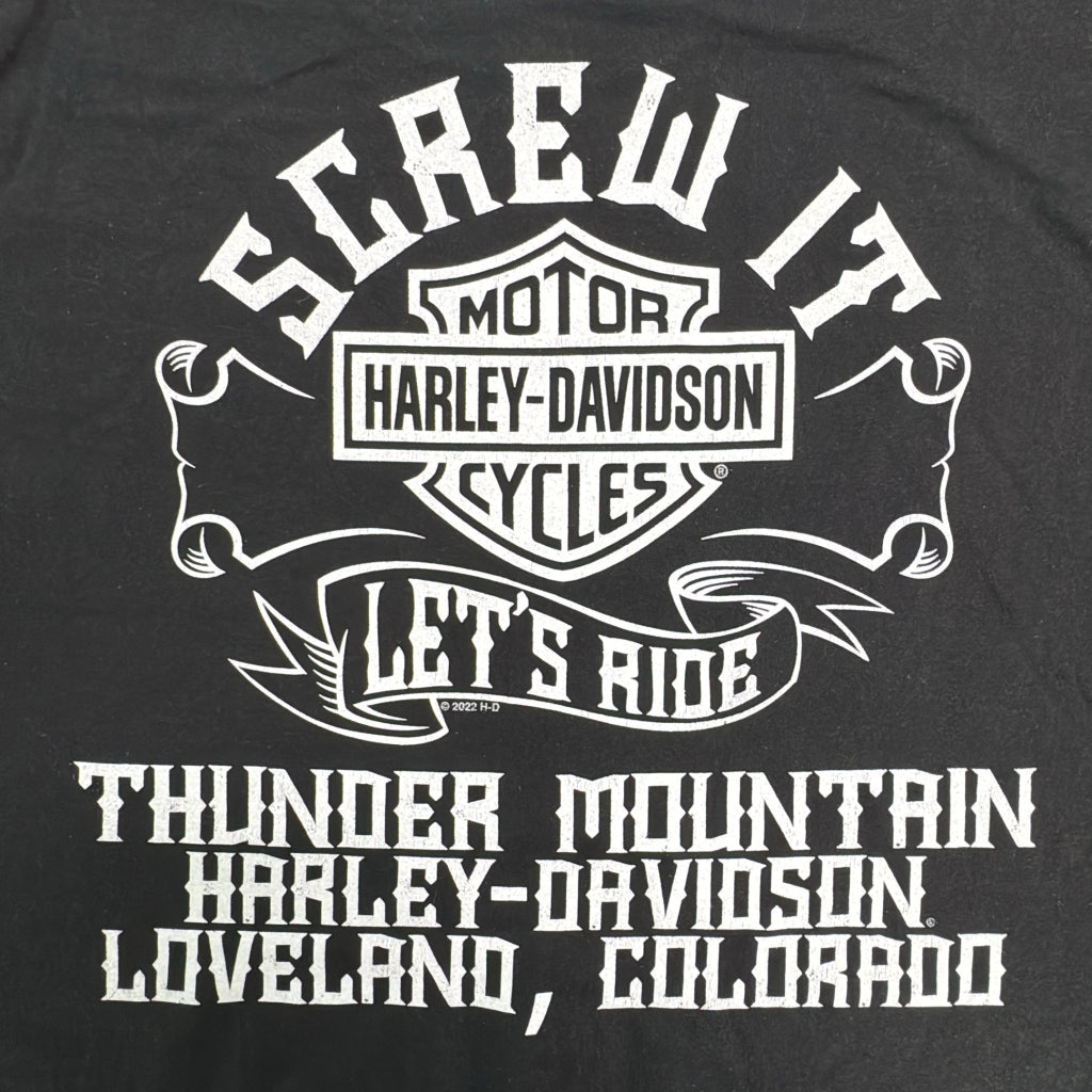 HARLEY DAVIDSON Motorcycle T-Shirt