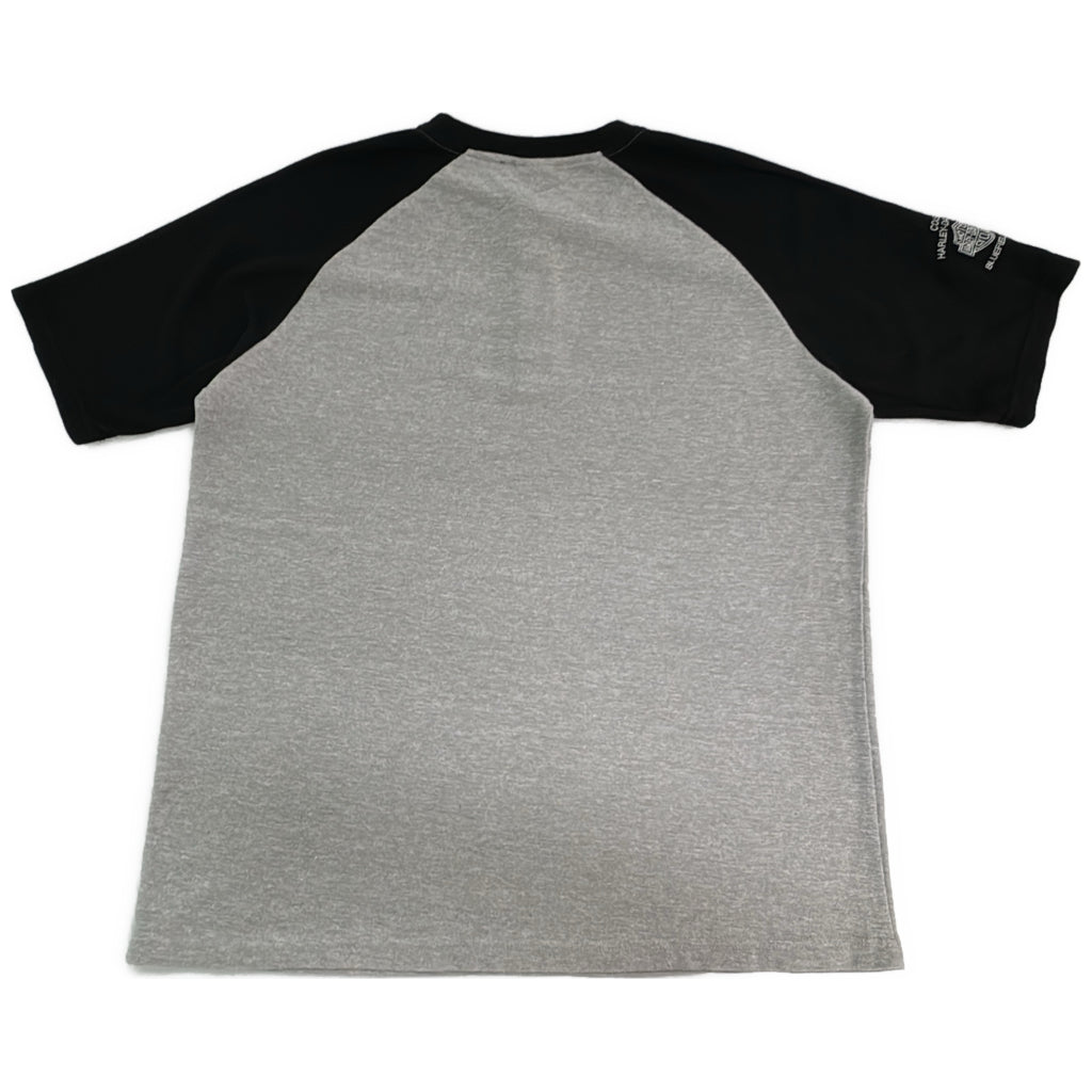 HARLEY DAVIDSON Motorcycle T-Shirt