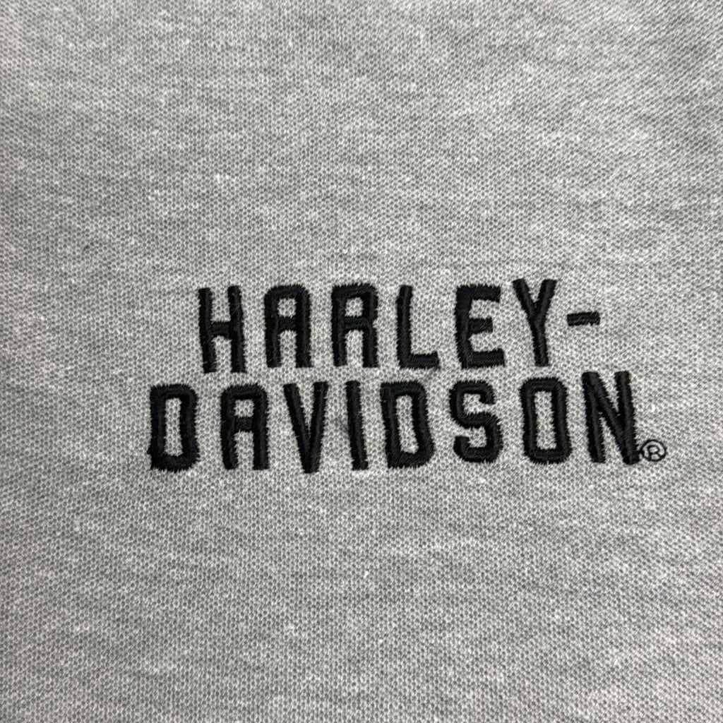 HARLEY DAVIDSON Motorcycle T-Shirt