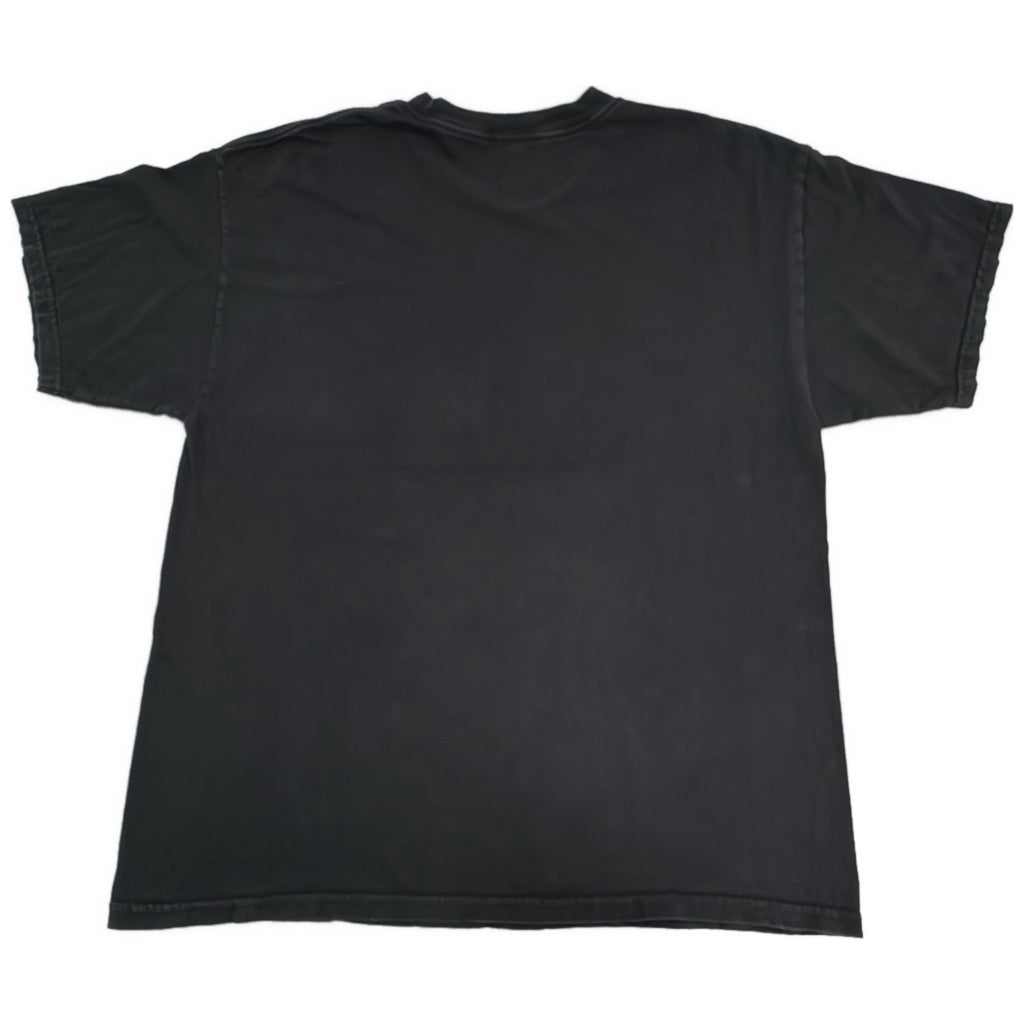 00s ALSTYLE Sports Brand Pro Team T-Shirt