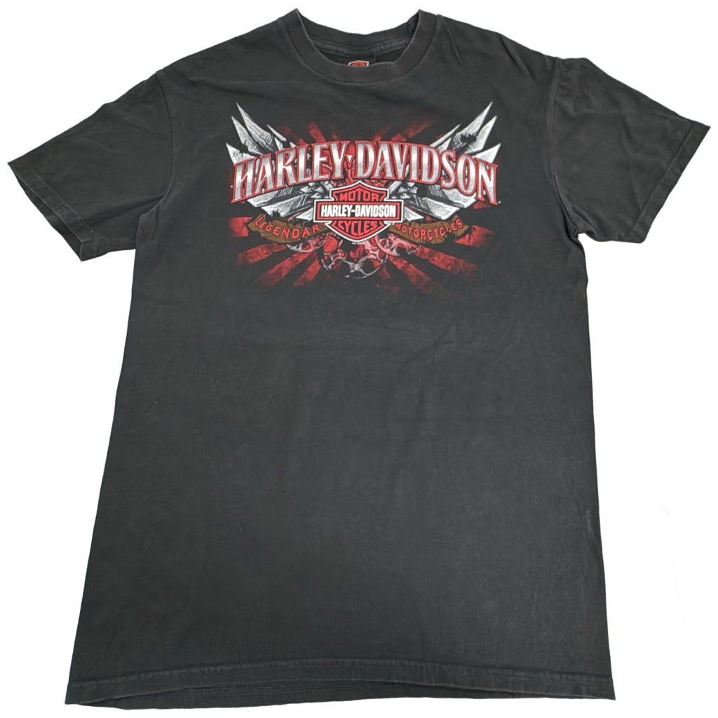 HARLEY DAVIDSON Motorcycle T-Shirt