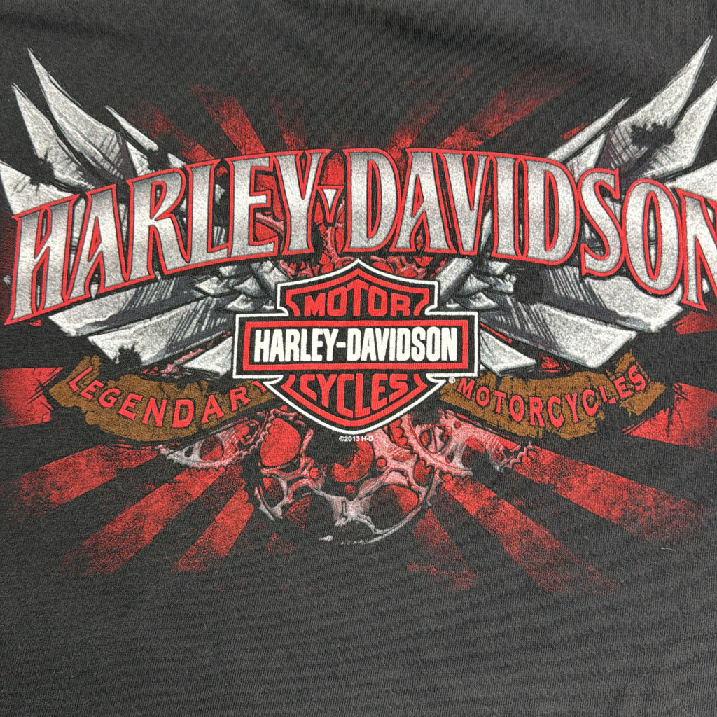 HARLEY DAVIDSON Motorcycle T-Shirt