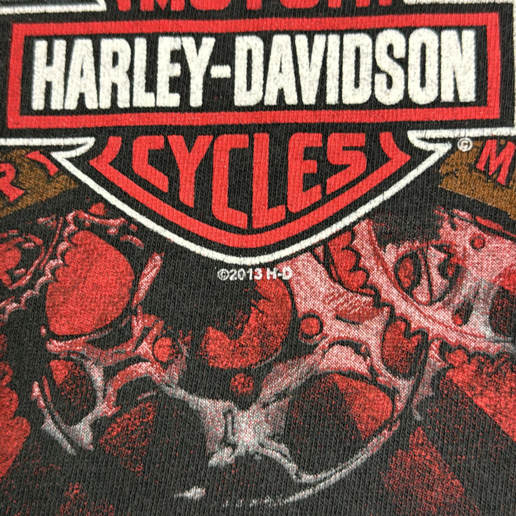 HARLEY DAVIDSON Motorcycle T-Shirt