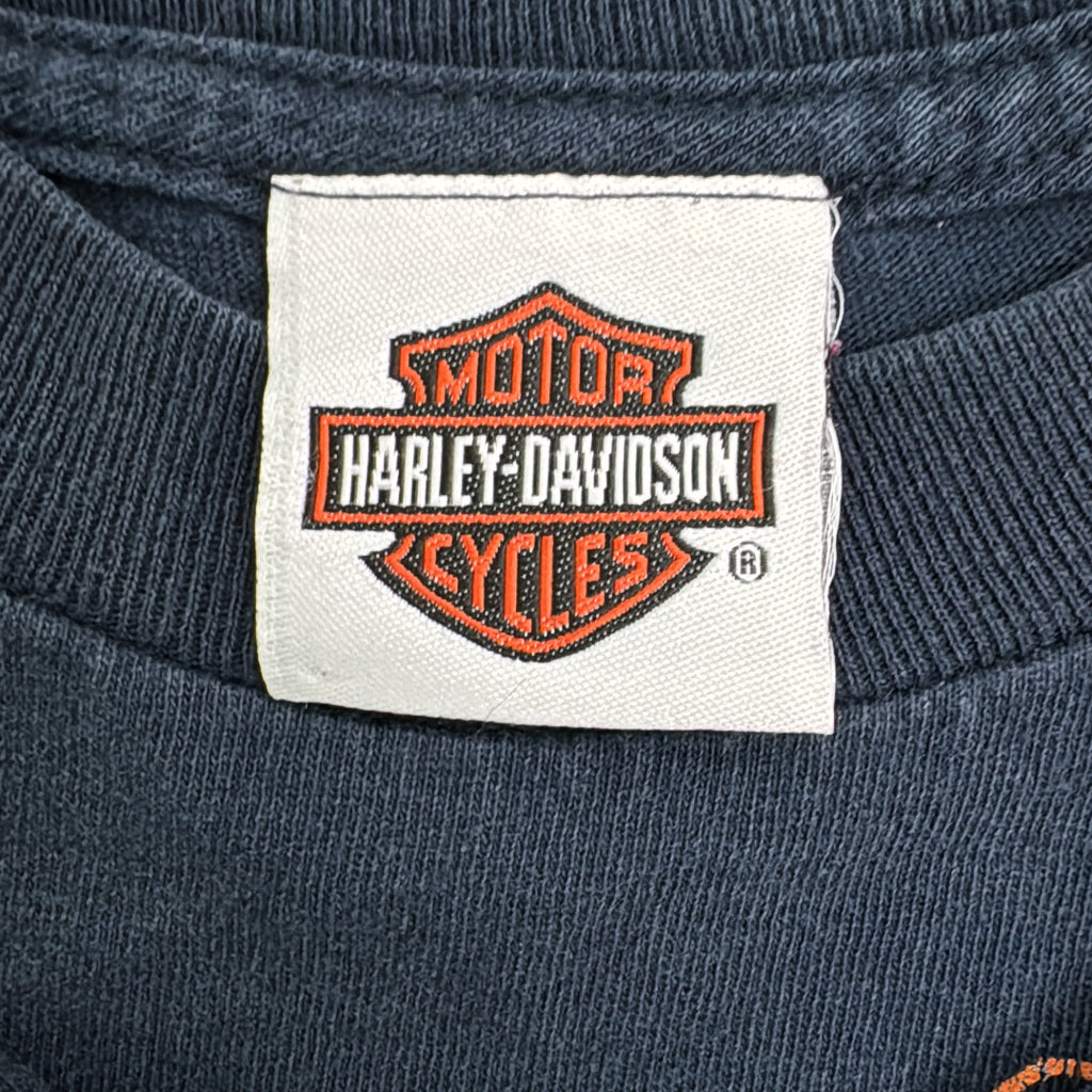 HARLEY DAVIDSON Motorcycle T-Shirt