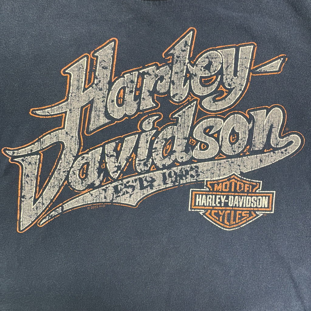 HARLEY DAVIDSON Motorcycle T-Shirt
