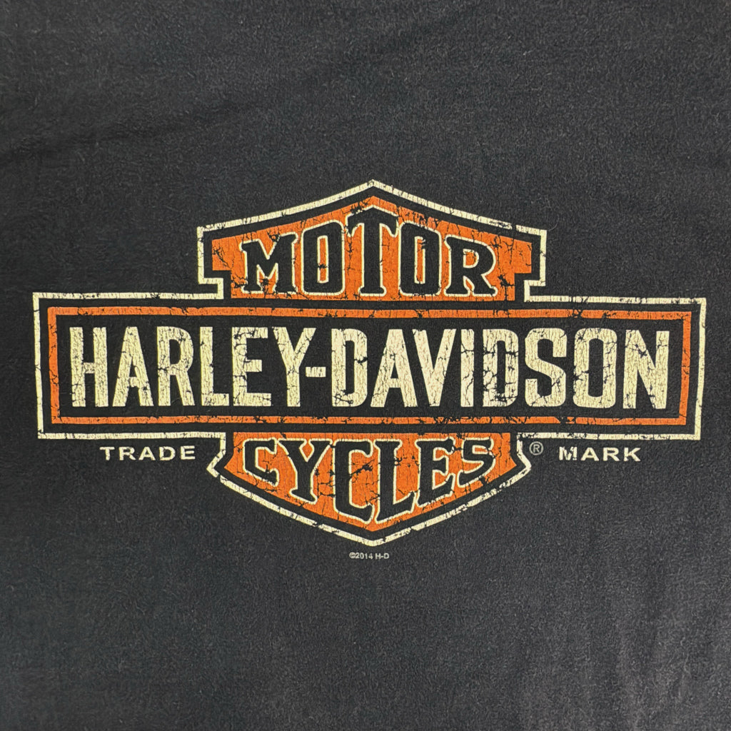HARLEY DAVIDSON Motorcycle T-Shirt