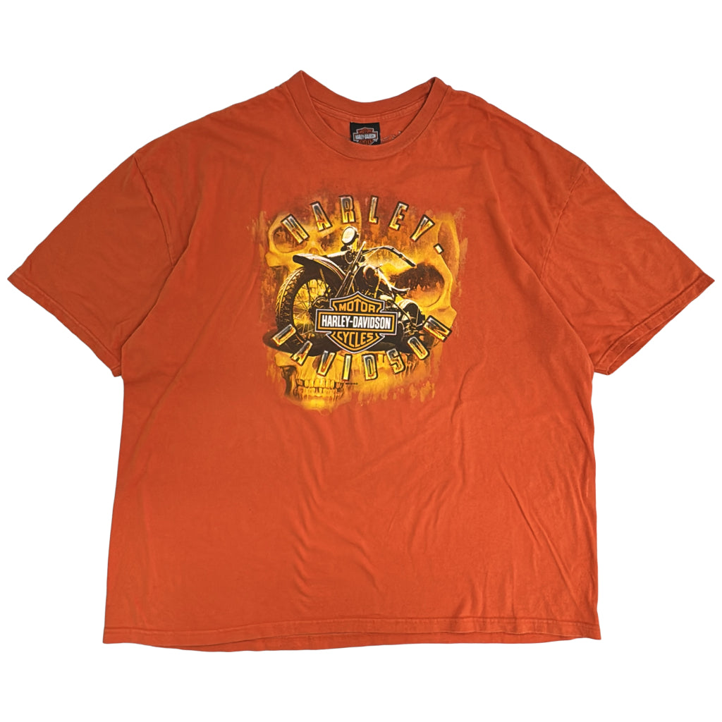 HARLEY DAVIDSON Motorcycle T-Shirt