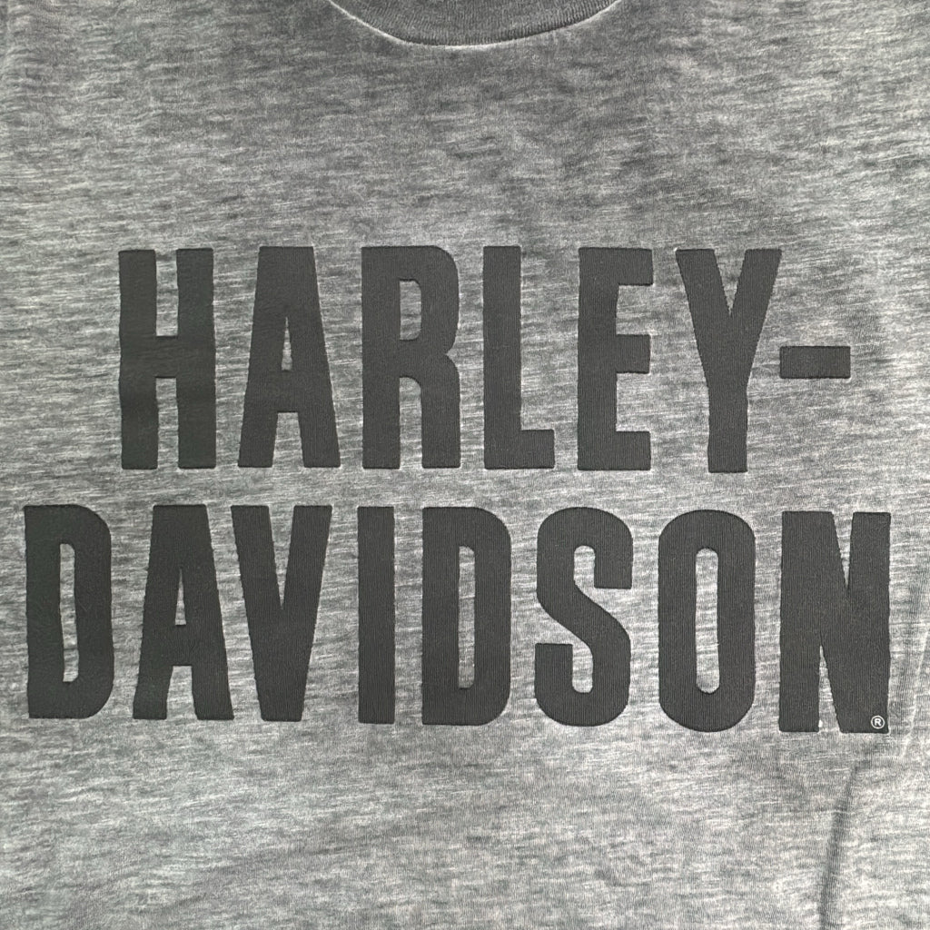 HARLEY DAVIDSON Motorcycle T-Shirt