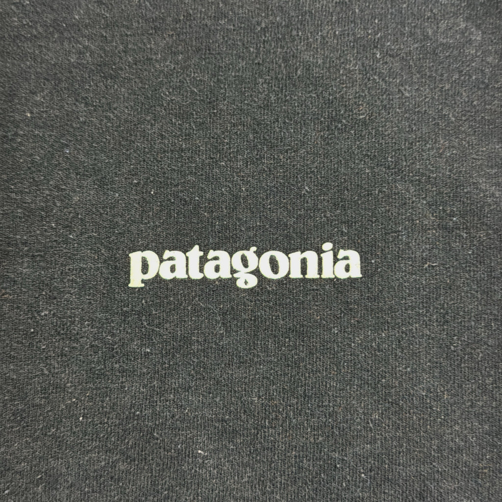 patagonia Long Sleeve T-Shirt