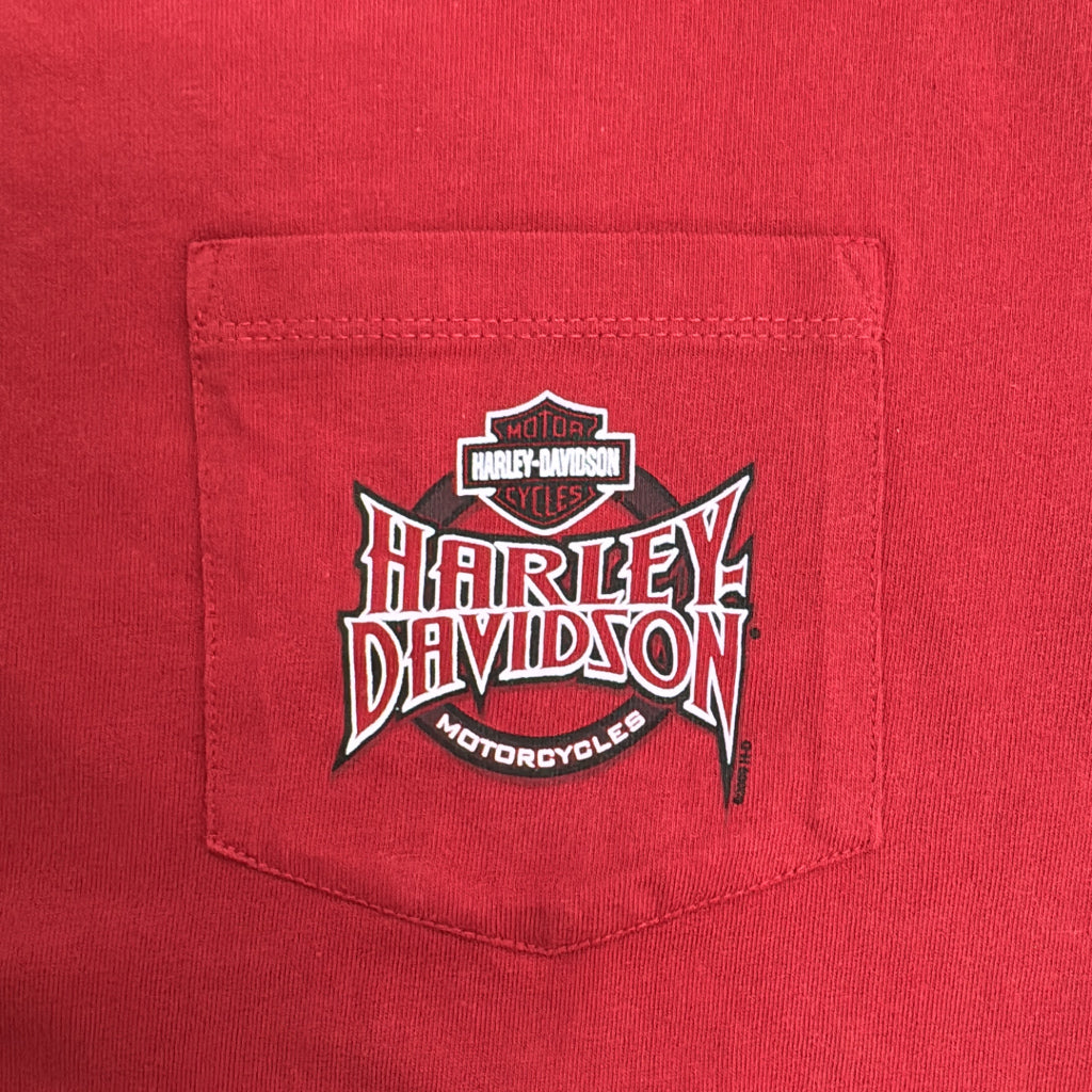 HARLEY DAVIDSON Motorcycle T-Shirt