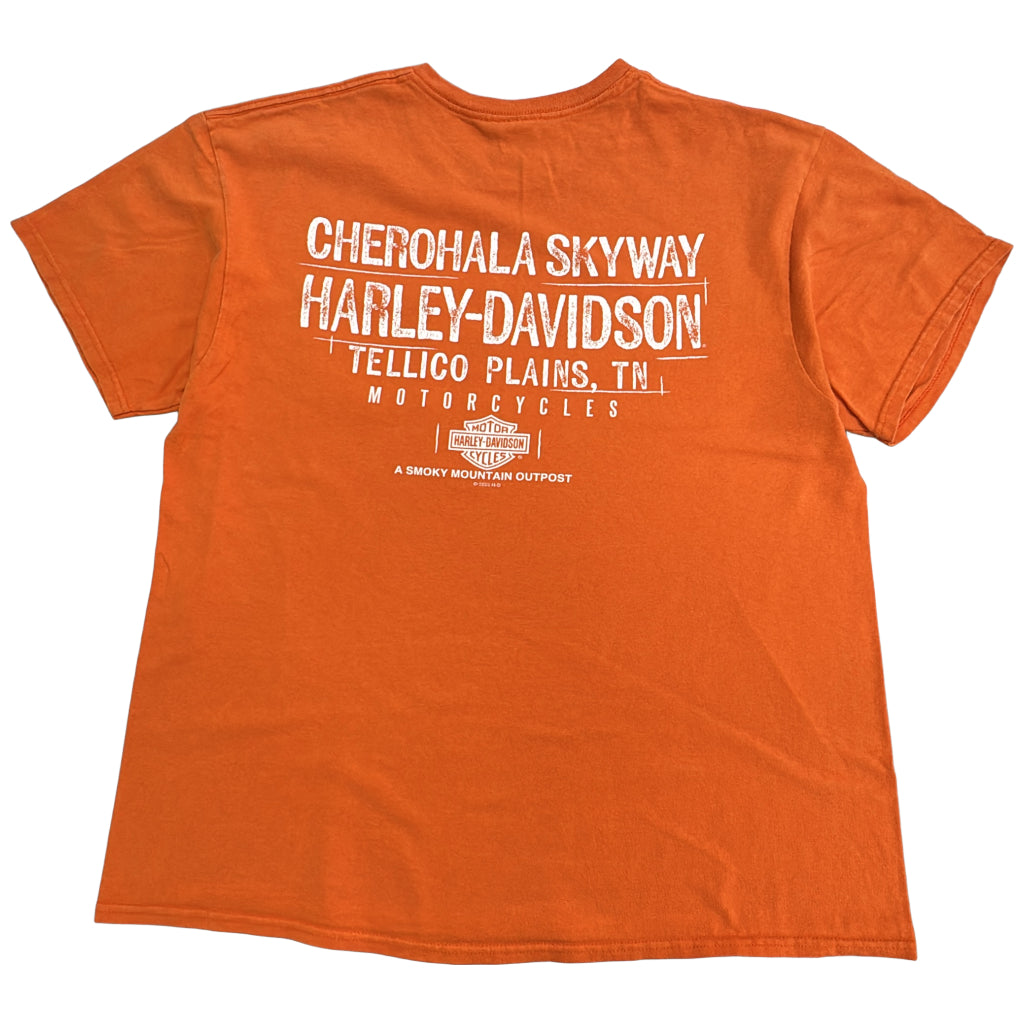 HARLEY DAVIDSON Motorcycle T-Shirt