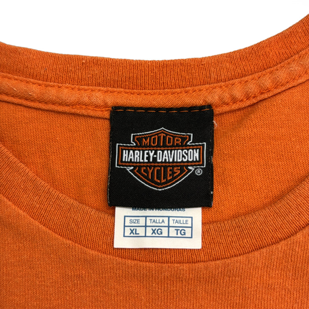 HARLEY DAVIDSON Motorcycle T-Shirt