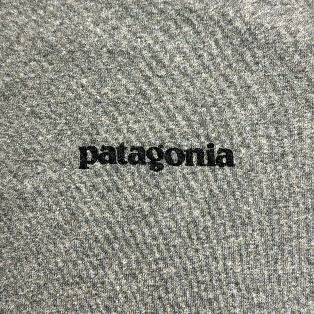 patagonia Brand T-Shirt