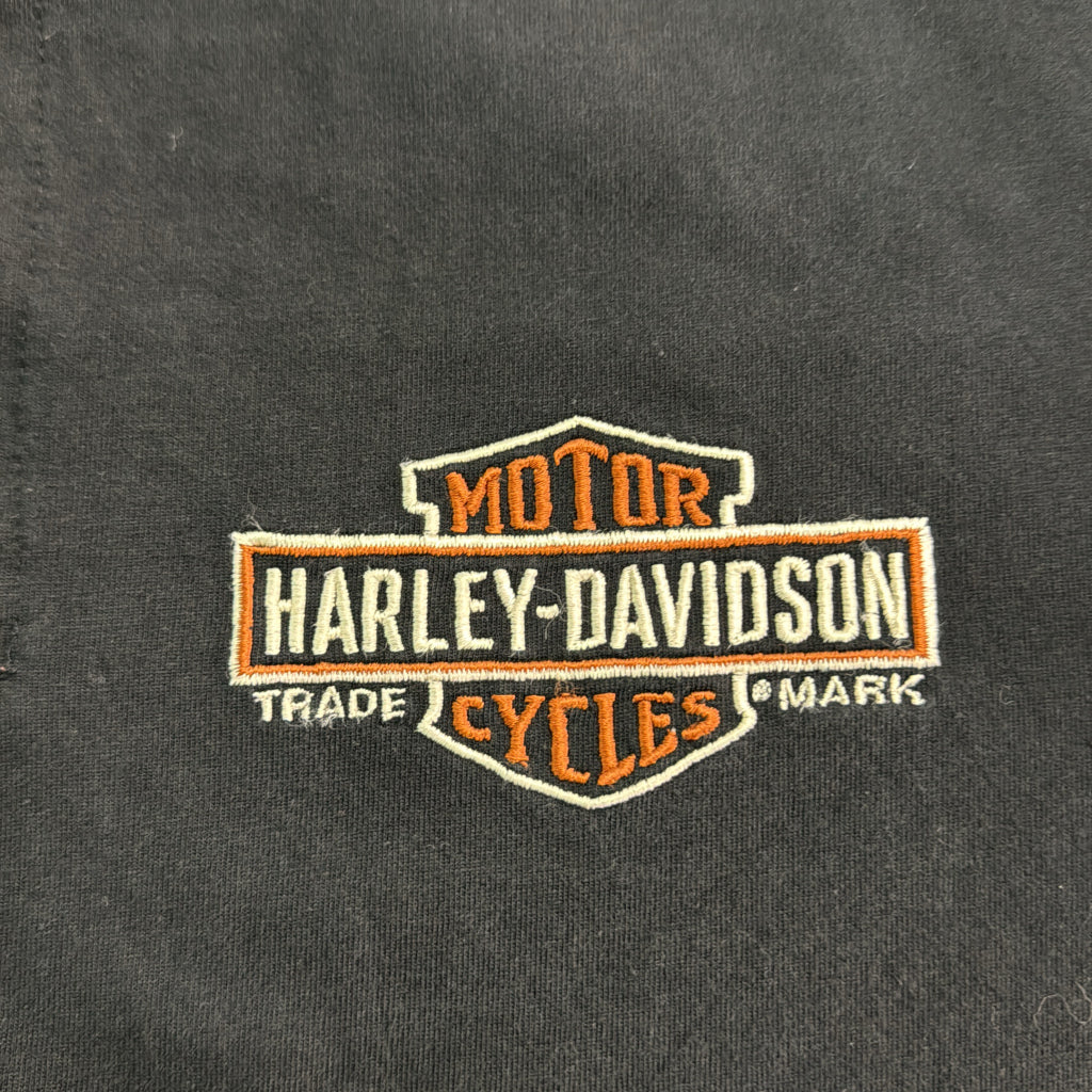 HARLEY DAVIDSON Motorcycle T-Shirt