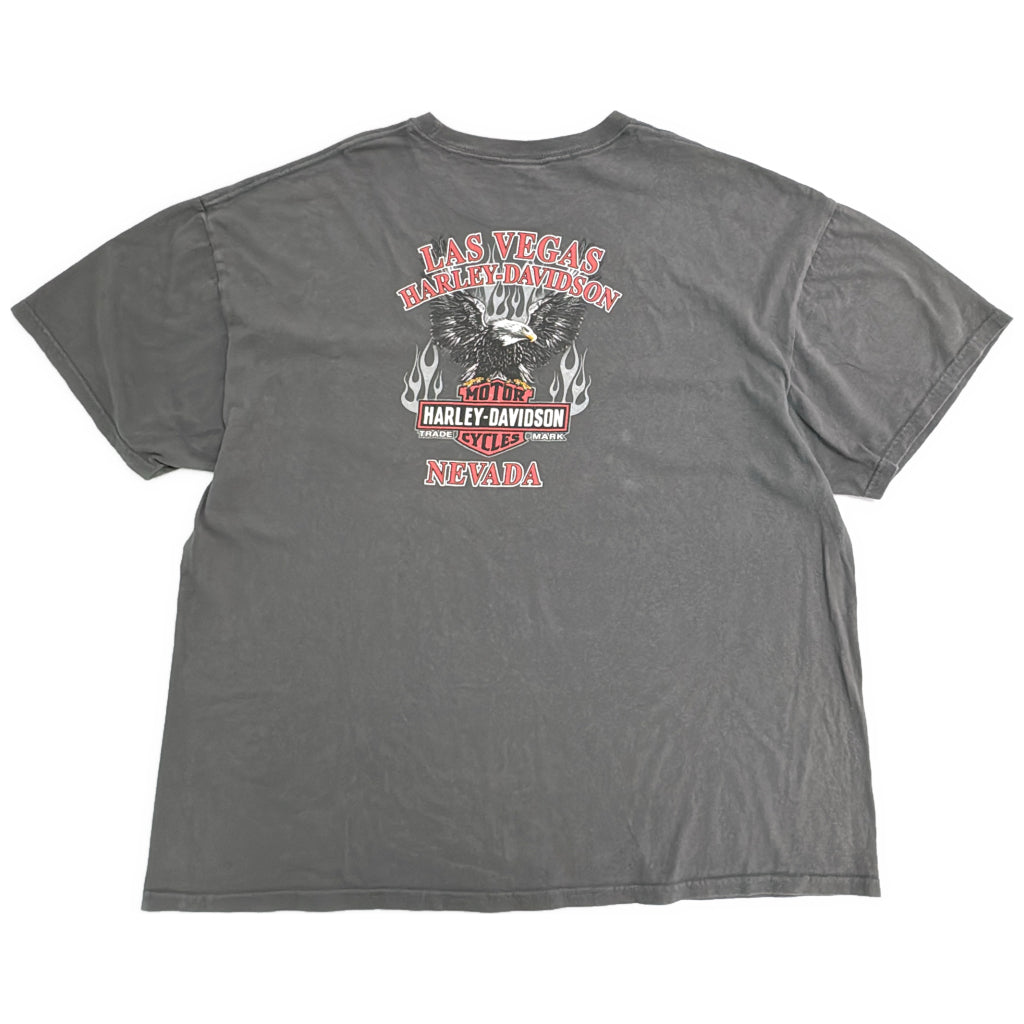 HARLEY DAVIDSON Motorcycle T-Shirt