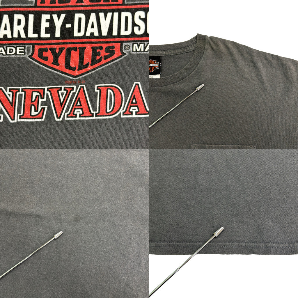 HARLEY DAVIDSON Motorcycle T-Shirt