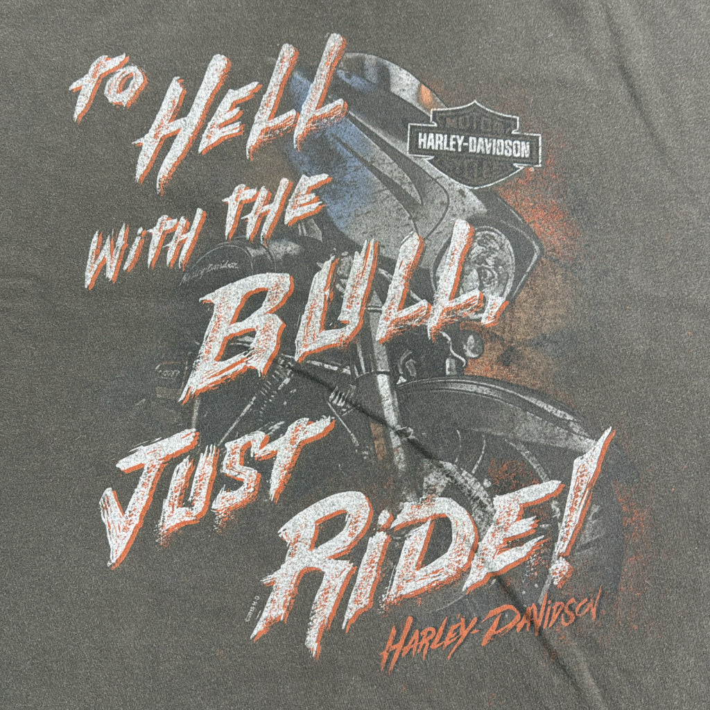 HARLEY DAVIDSON Motorcycle T-Shirt