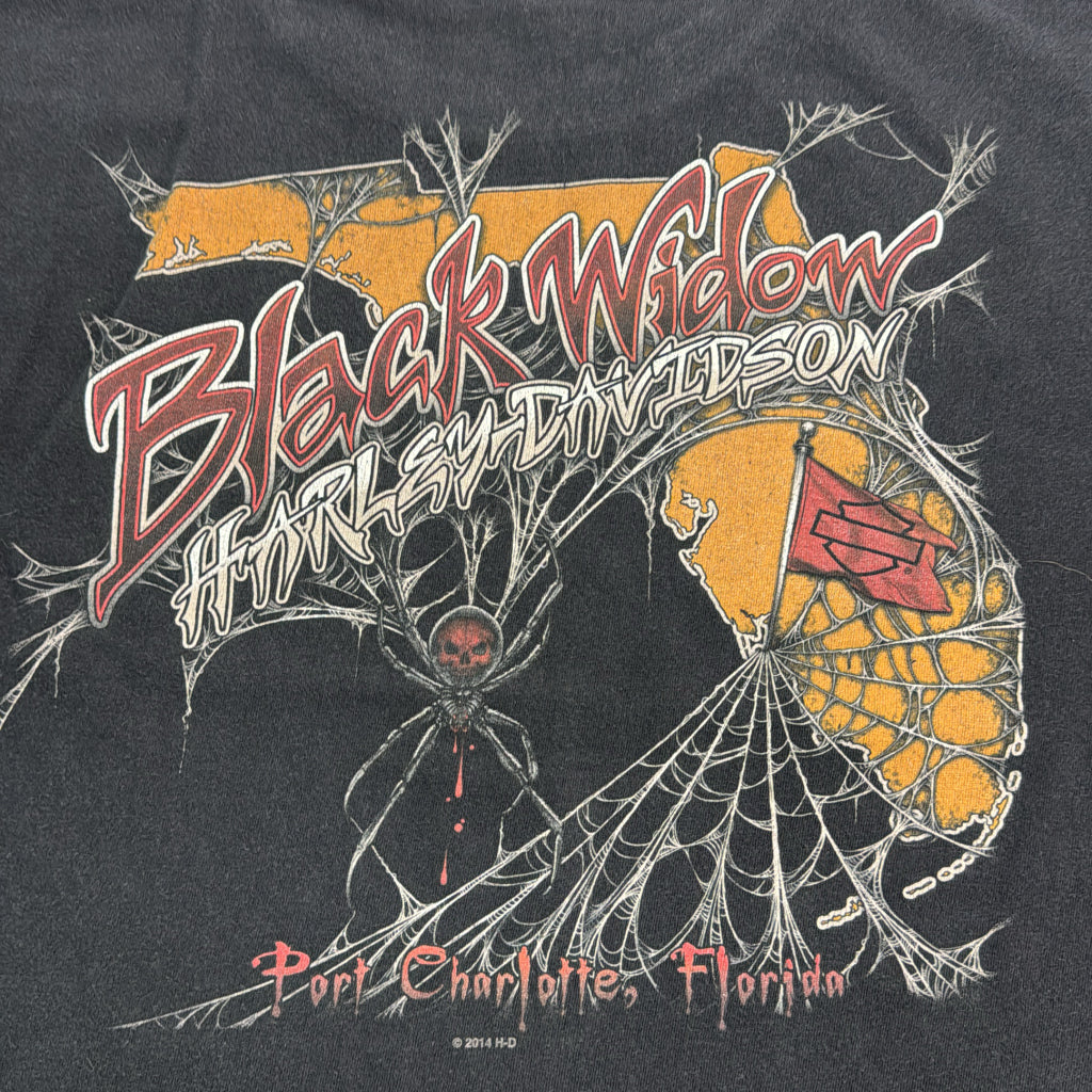 HARLEY DAVIDSON Motorcycle T-Shirt