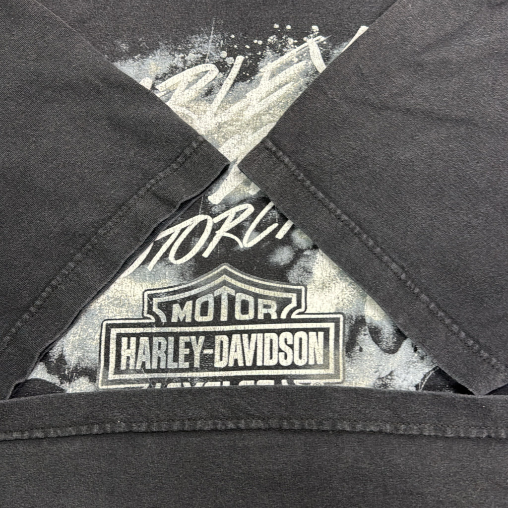 HARLEY DAVIDSON Motorcycle T-Shirt
