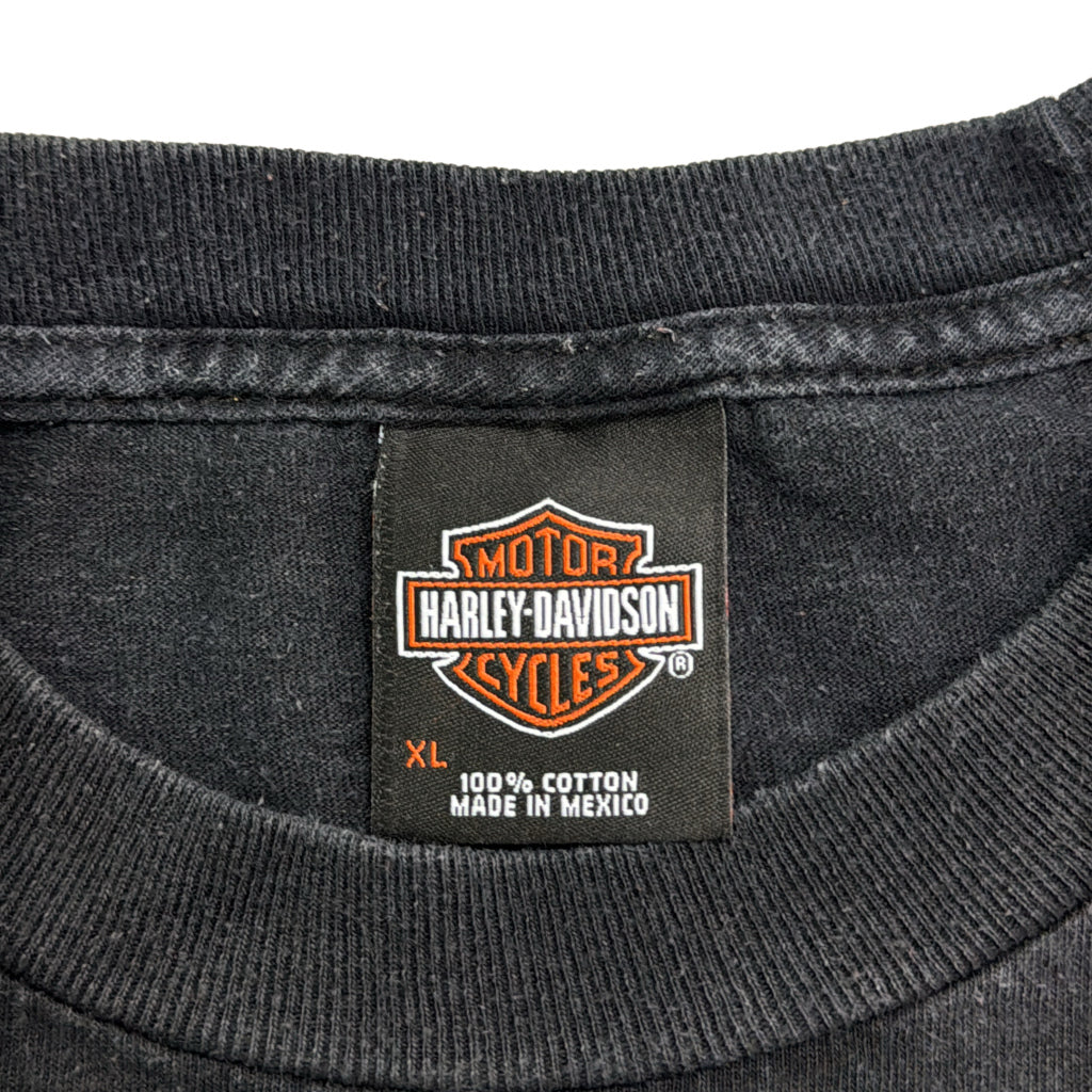 HARLEY DAVIDSON Motorcycle T-Shirt