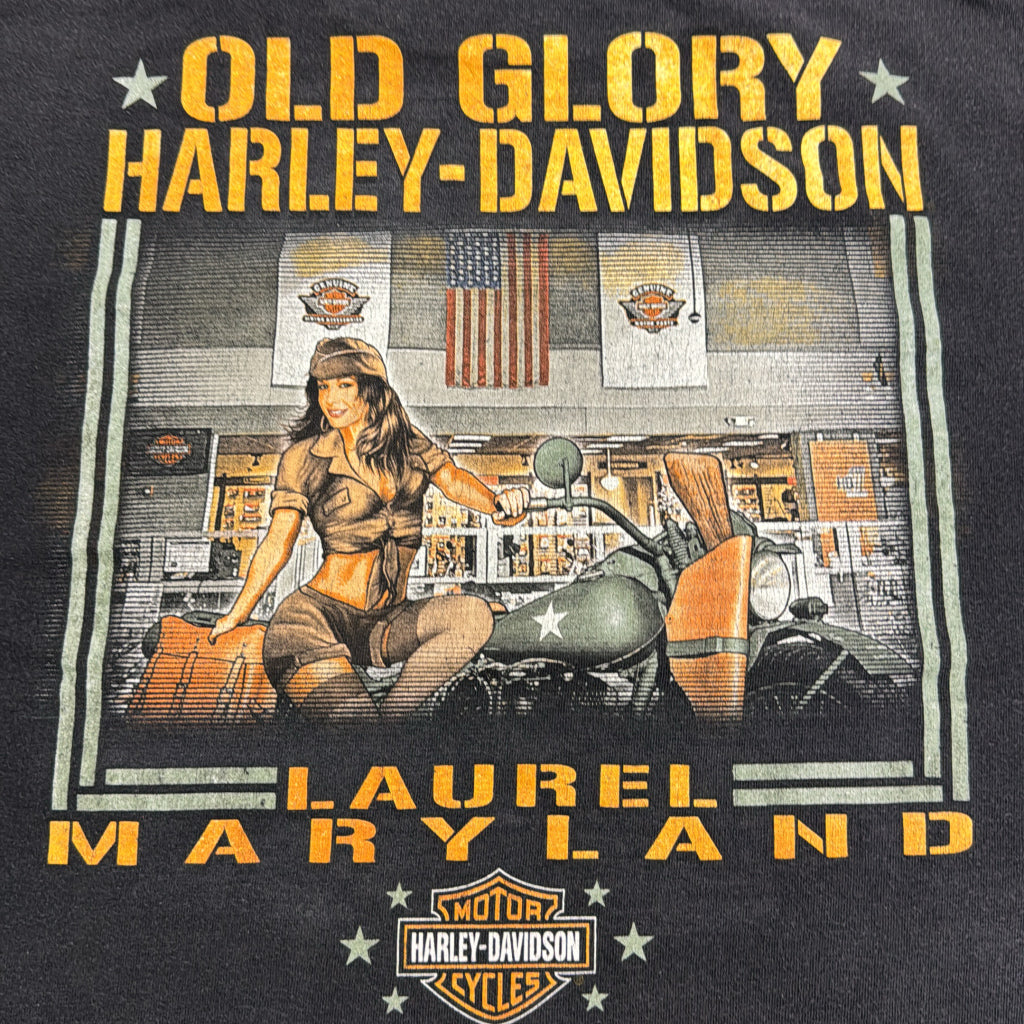 HARLEY DAVIDSON Motorcycle T-Shirt