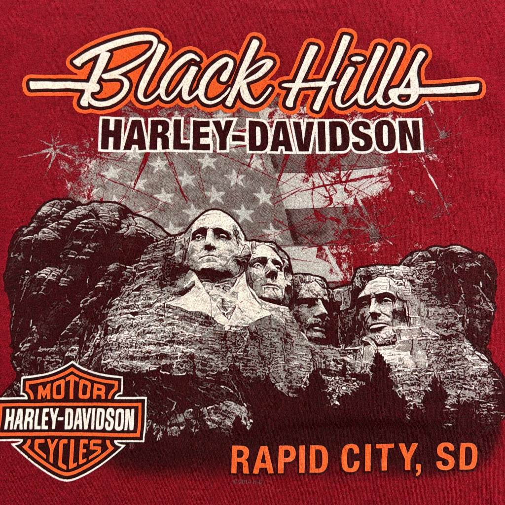 HARLEY DAVIDSON Motorcycle T-Shirt