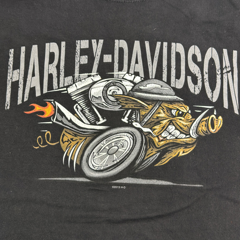 HARLEY DAVIDSON Motorcycle T-Shirt