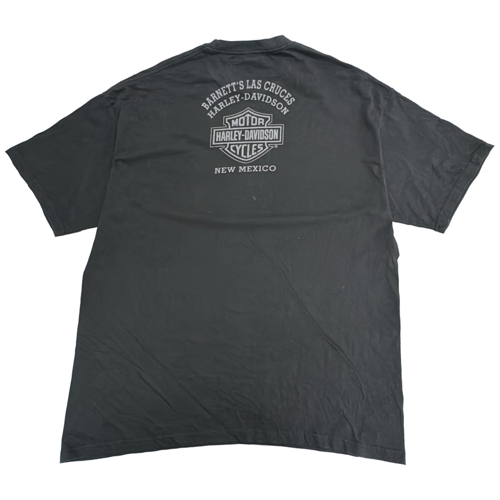 HARLEY DAVIDSON Motorcycle T-Shirt
