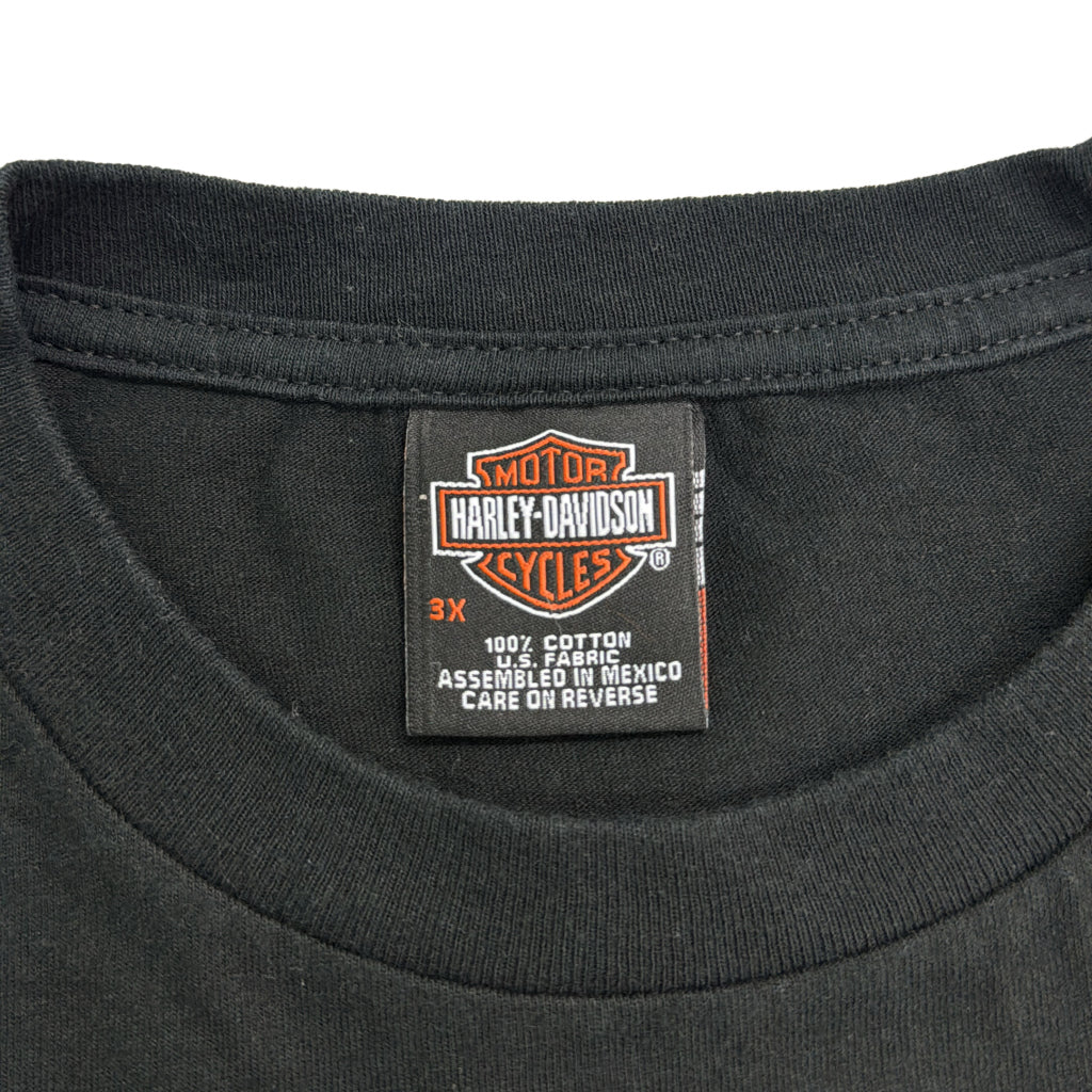 HARLEY DAVIDSON Motorcycle T-Shirt