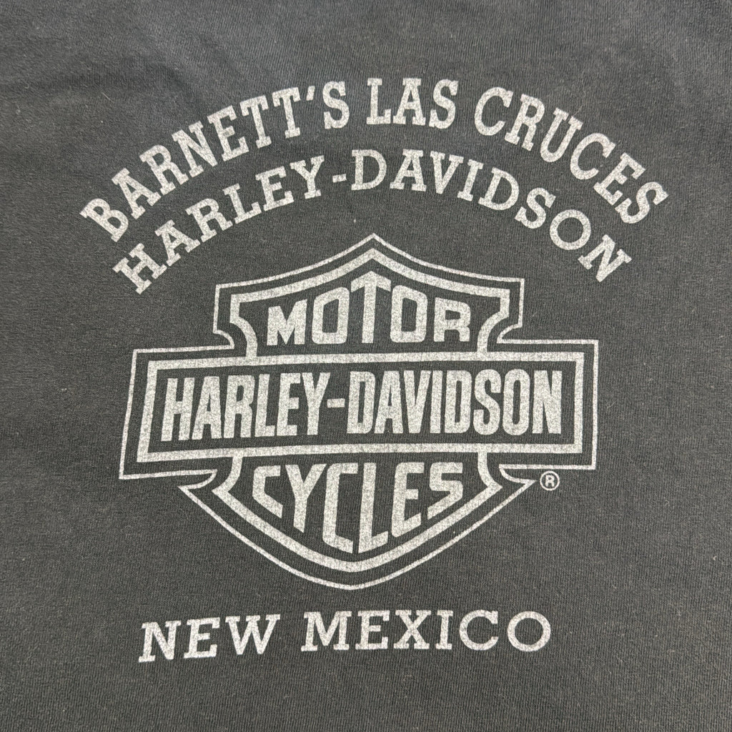 HARLEY DAVIDSON Motorcycle T-Shirt