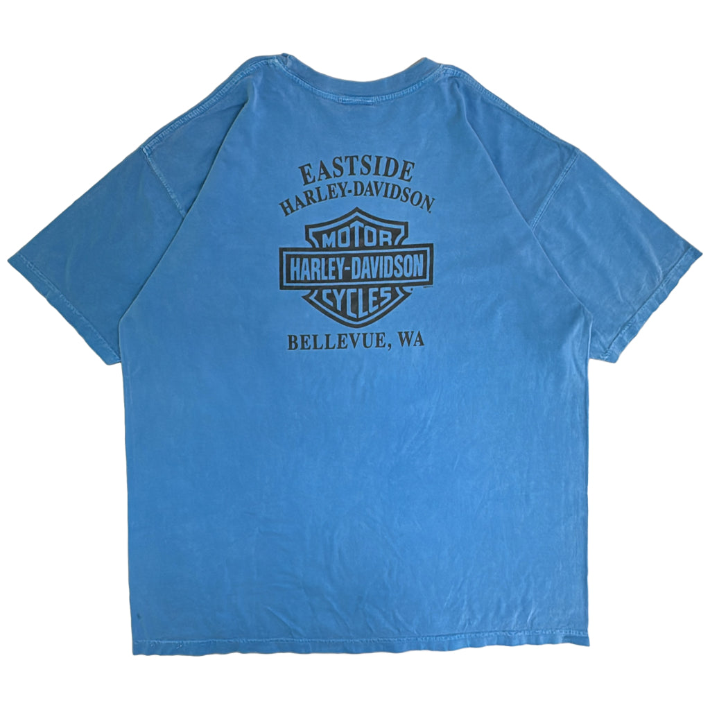 HARLEY DAVIDSON Motorcycle T-Shirt