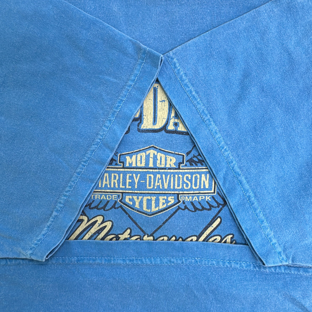 HARLEY DAVIDSON Motorcycle T-Shirt