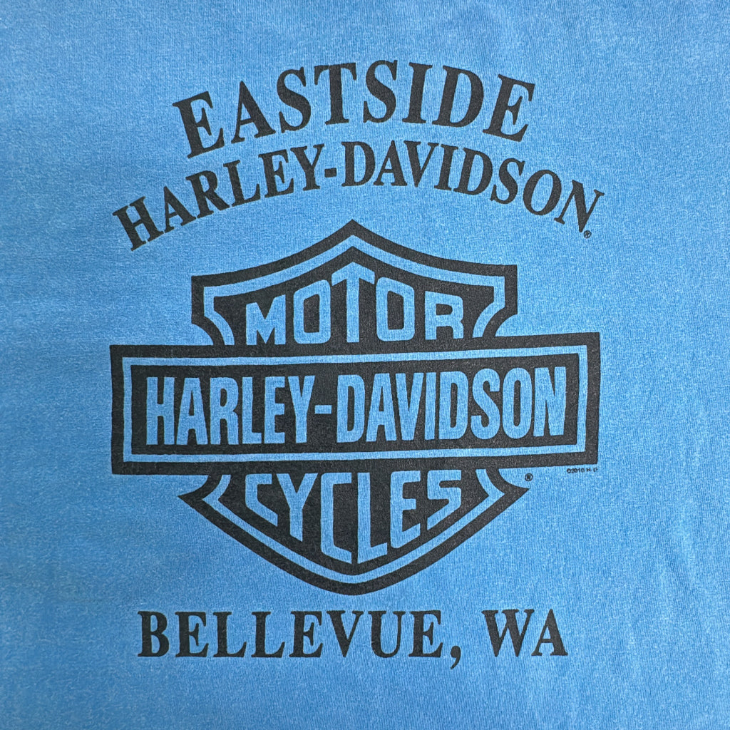 HARLEY DAVIDSON Motorcycle T-Shirt