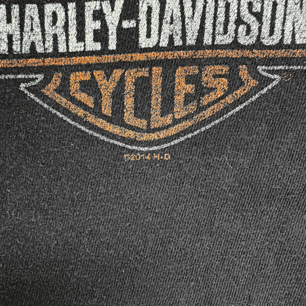 HARLEY DAVIDSON Motorcycle T-Shirt