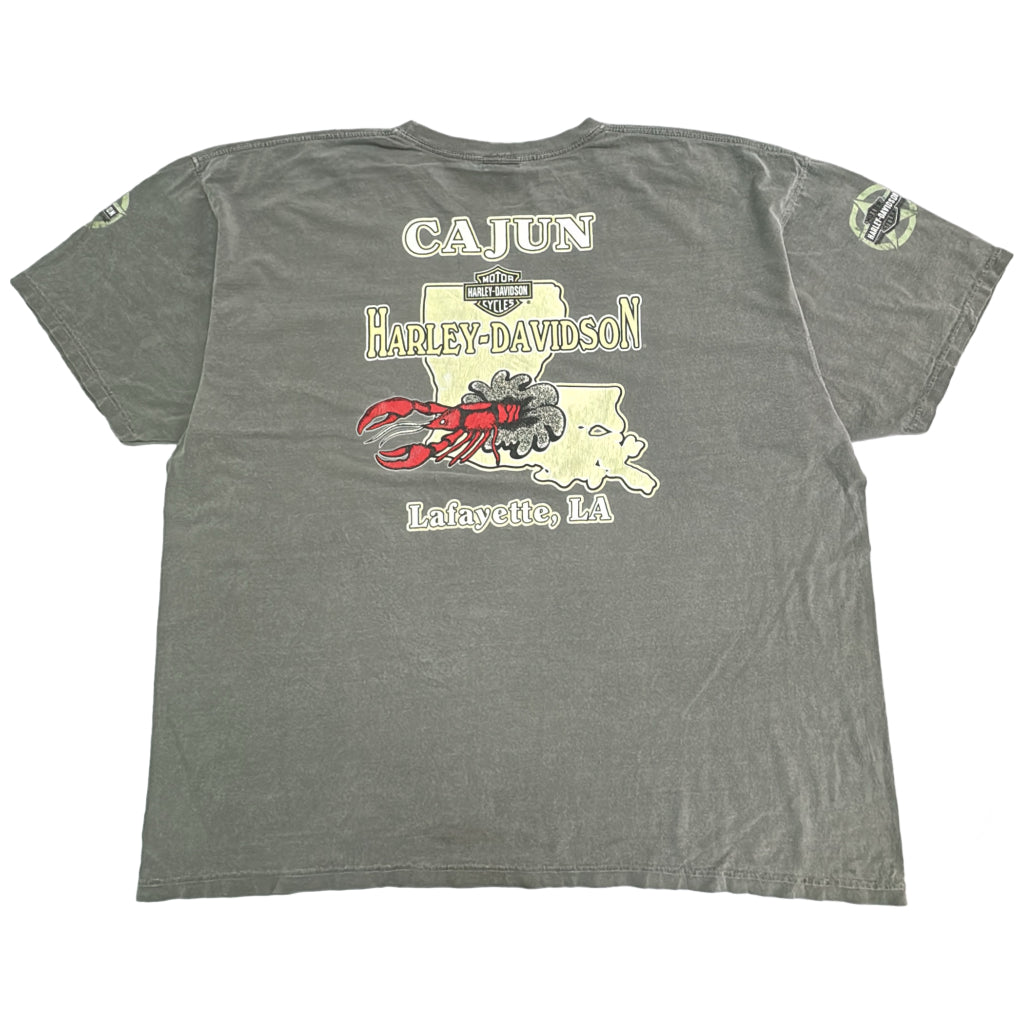 HARLEY DAVIDSON Motorcycle T-Shirt