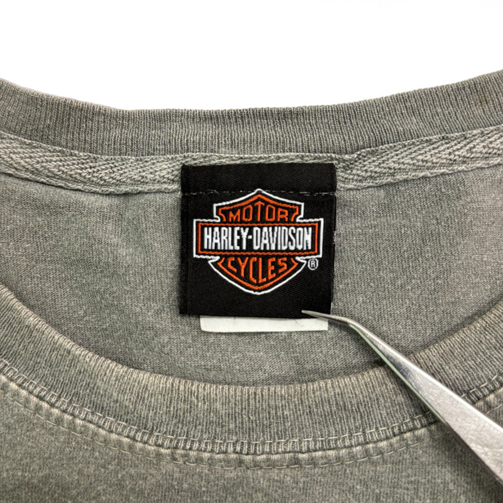 HARLEY DAVIDSON Motorcycle T-Shirt