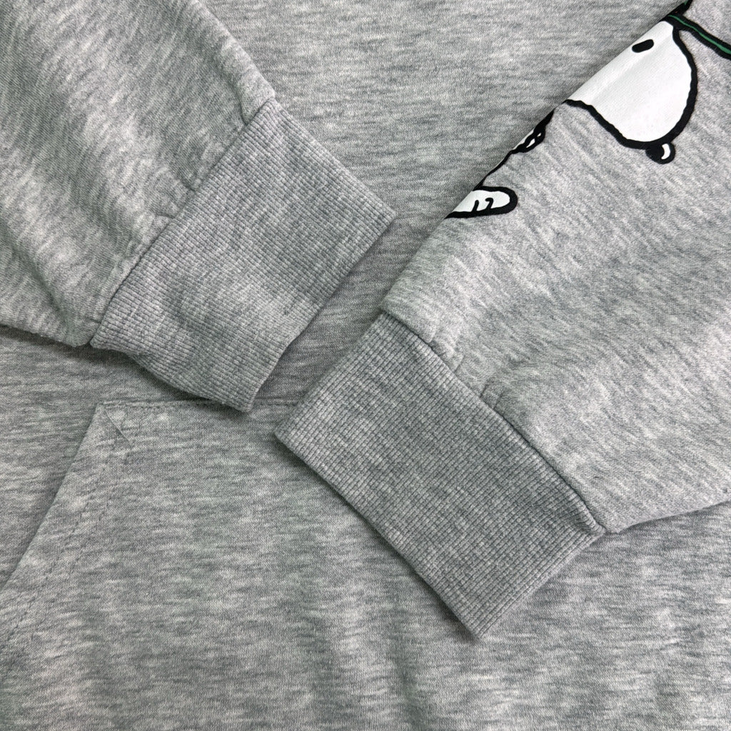 AEROPOSTALE Character Hoodie